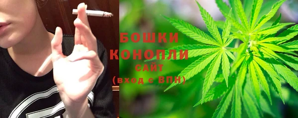 ГАЛЛЮЦИНОГЕННЫЕ ГРИБЫ Кулебаки