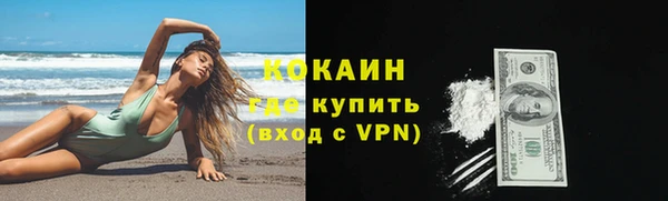 ГАЛЛЮЦИНОГЕННЫЕ ГРИБЫ Кулебаки