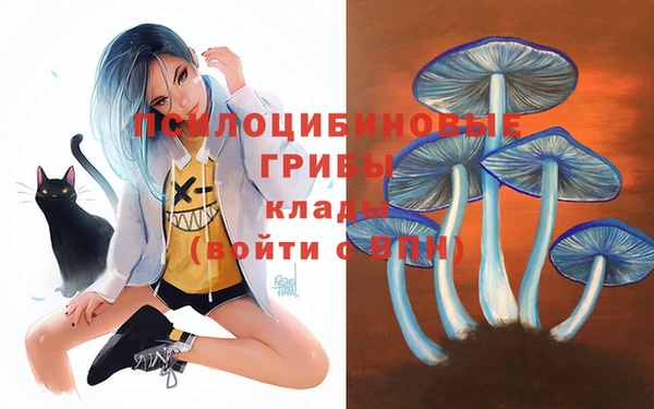 ешки Кукмор
