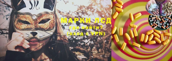 гашик Мурманск
