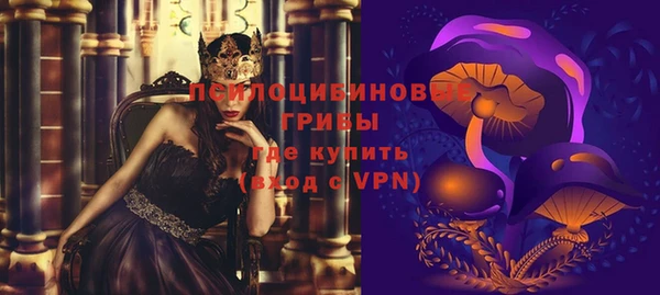 ешки Кукмор