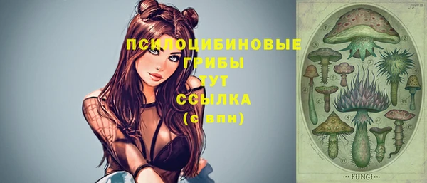 ешки Кукмор