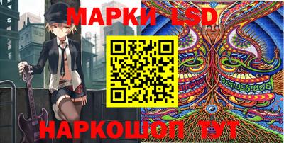 ешки Гай