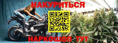 ешки Гай