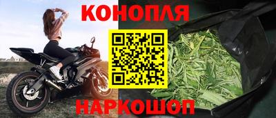не бодяженный Гатчина