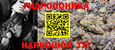 ешки Гай