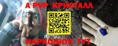 ешки Гай