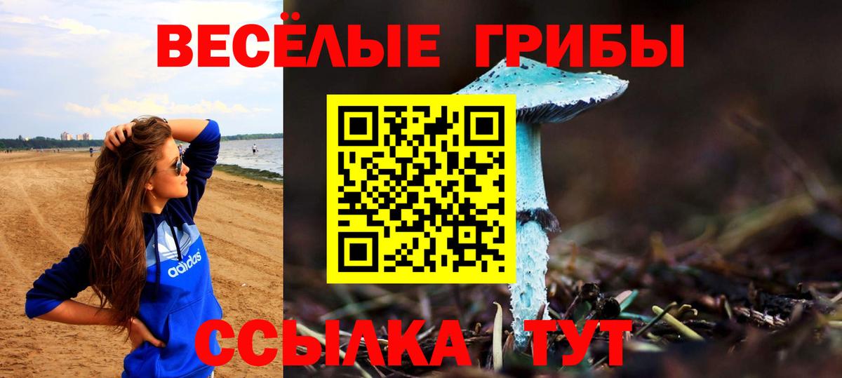Минеральные Воды  дарнет шоп  Галлюциногенные грибы Psilocybine cubensis  Вход с VPN  Галлюциногенные грибы ЛСД 